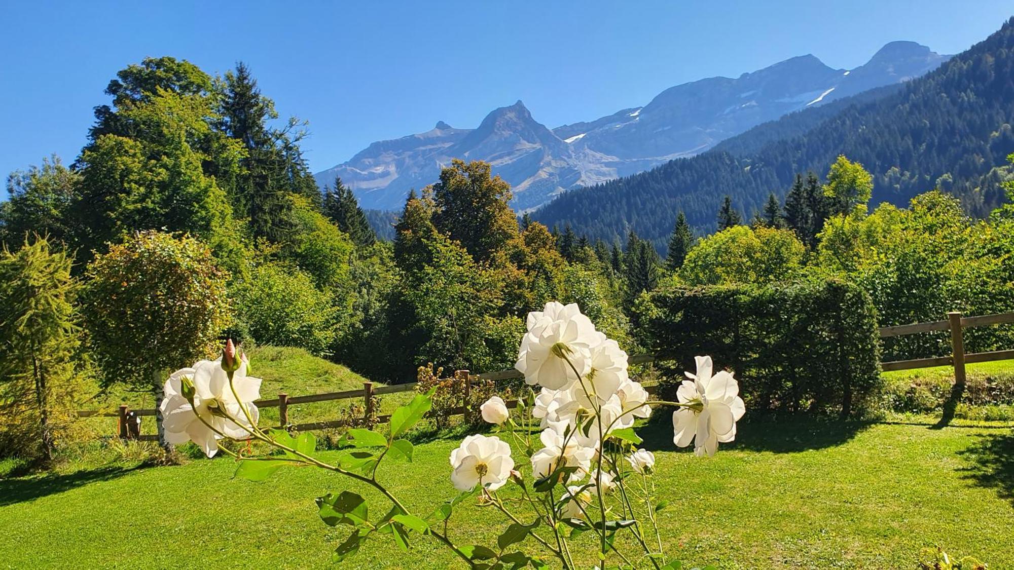 B&B Chalet La Croisee Вер-ль-Эглиз Экстерьер фото